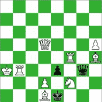 White:  Ka3,  Qd5,  Rb3,  Rf4,  Bd1,  Bh4,  Nf2,  Pd2,  Ph5  (9) 