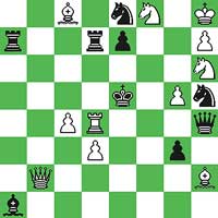  White : Kh8, Qb2, Rd4, Bc8, Bh2, Nf8, Nh6, Pc4, Pd3, Pg5, Ph7 (11)  Black : Ke5, Qh4, Ra7, Rd7, Ba1, Ne8, Nh5, Pe7, Pg3 (9)