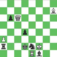 White: Kf2, Qc6, Re1, Bh7, Pa3 (5) Black: Kd2, Ra2, Bf1, Ne2, Pb6, Pd4 (6)