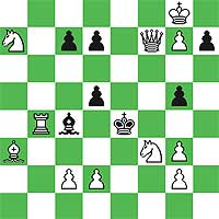 White: Kg8,  Qf7,  Rb4,  Ba3,  Na7,  Nf3, Pc2,  Pd2,  Pg2,  Pg3,  Pg7 (11) Black:  Ke4,  Bc4,  Pc7, Pd7, Pd5,  Pg5, Ph7 (7)