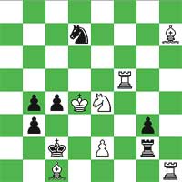 White:  Kd4, Rf5,  Rh1, Bh7,  Bc1, Ne4,  Pe2 (7) Black :  Kc2, Rg2,  Nd7,  Pb3,  Pb4,  Pc4,  Pg3  (7) 